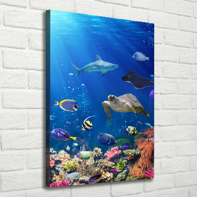 Large canvas wall art Coral reef