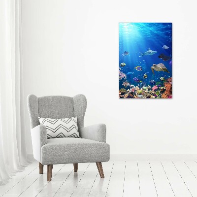 Large canvas wall art Coral reef