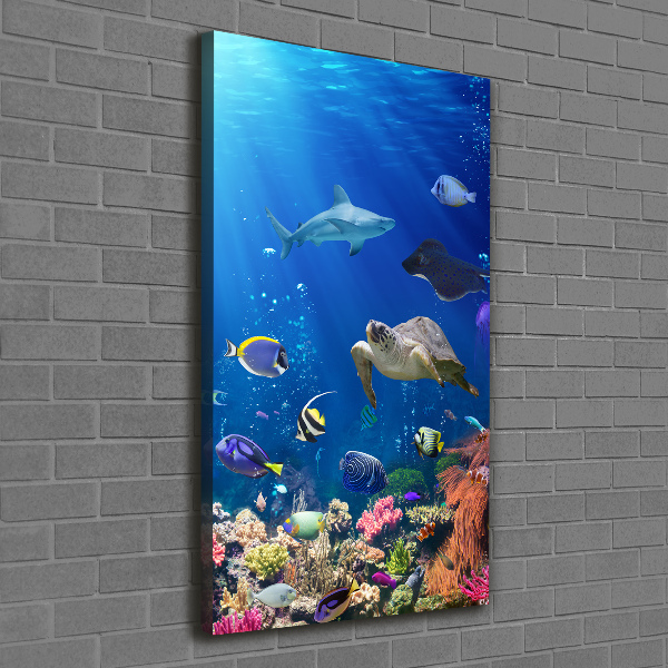 Large canvas wall art Coral reef