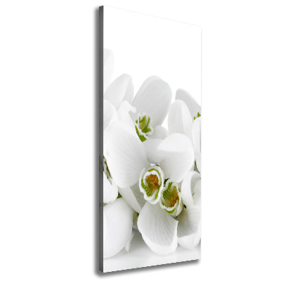 Wall art canvas large White snowdrops