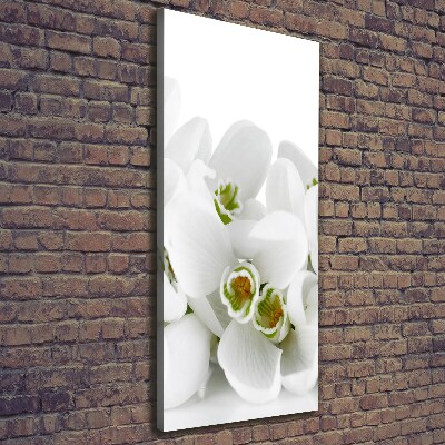 Wall art canvas large White snowdrops