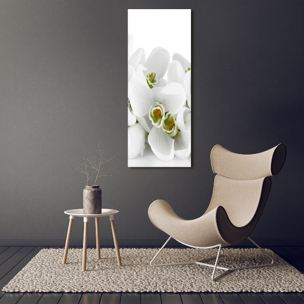 Wall art canvas large White snowdrops