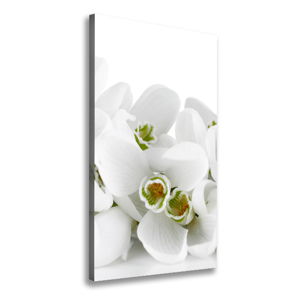 Wall art canvas large White snowdrops