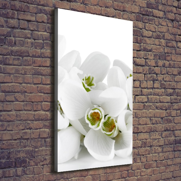 Wall art canvas large White snowdrops