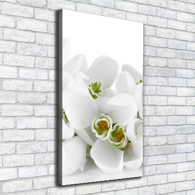 Wall art canvas large White snowdrops