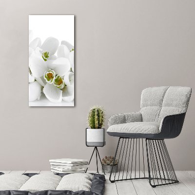 Wall art canvas large White snowdrops