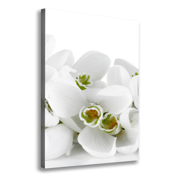 Wall art canvas large White snowdrops