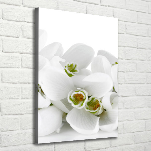 Wall art canvas large White snowdrops