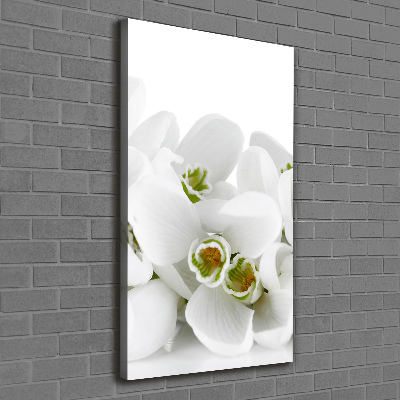 Wall art canvas large White snowdrops