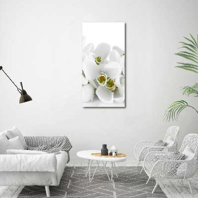 Wall art canvas large White snowdrops