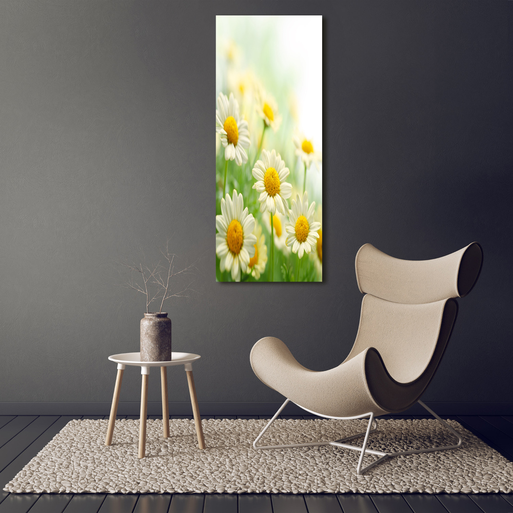 Picture canvas print Daisy