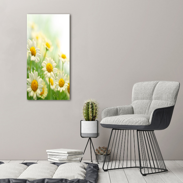 Picture canvas print Daisy