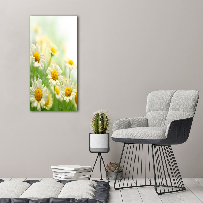 Picture canvas print Daisy