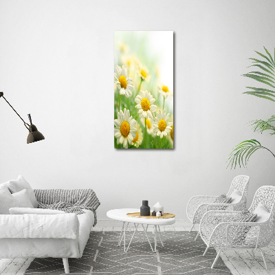 Picture canvas print Daisy