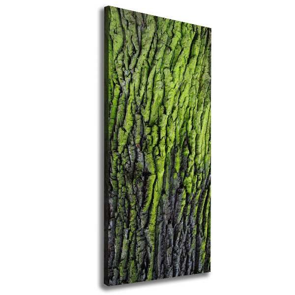 Wall art canvas Tree bark