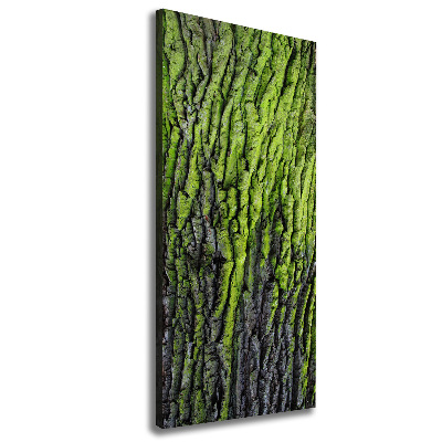 Wall art canvas Tree bark