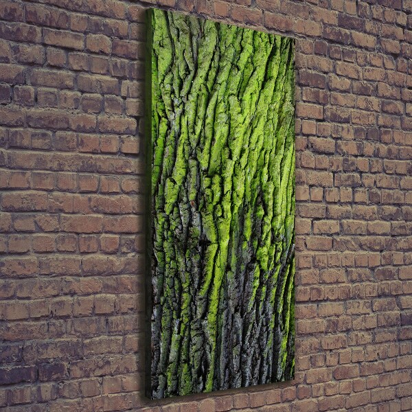 Wall art canvas Tree bark