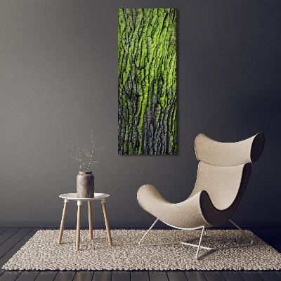 Wall art canvas Tree bark