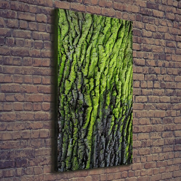 Wall art canvas Tree bark