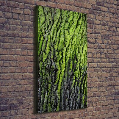 Wall art canvas Tree bark