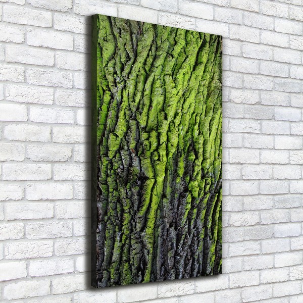 Wall art canvas Tree bark