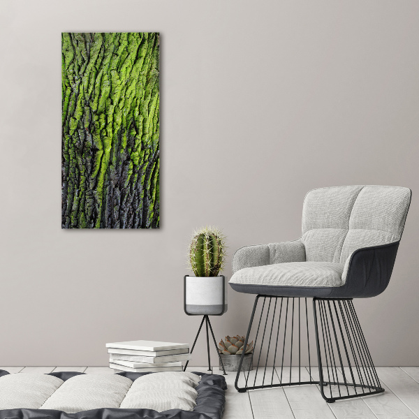 Wall art canvas Tree bark