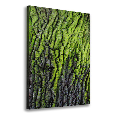 Wall art canvas Tree bark