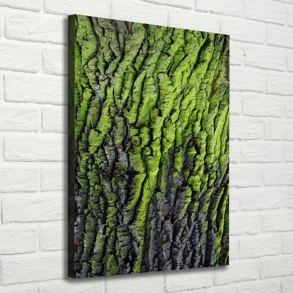 Wall art canvas Tree bark