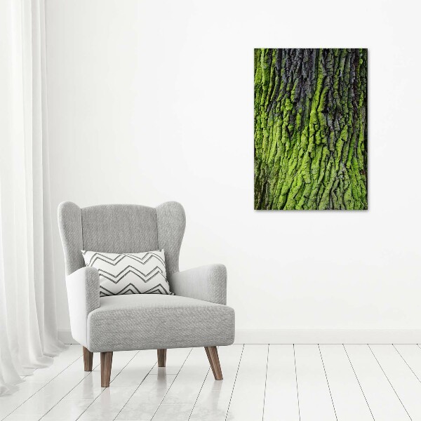 Wall art canvas Tree bark