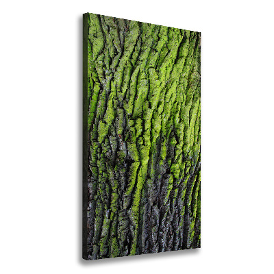 Wall art canvas Tree bark