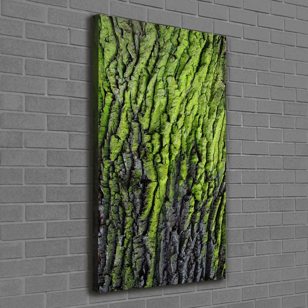 Wall art canvas Tree bark