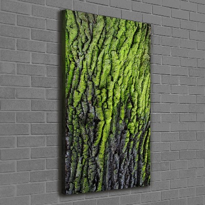 Wall art canvas Tree bark