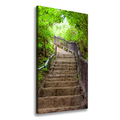 Canvas wall art Stairs in the forest