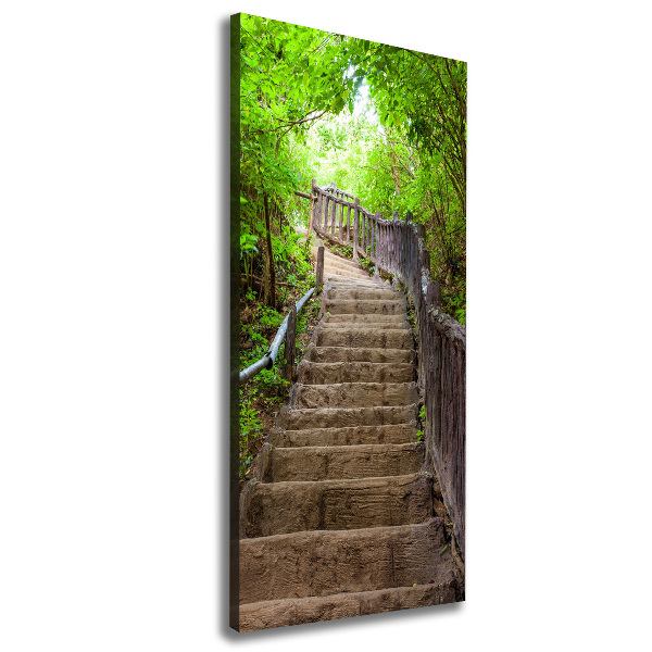 Canvas wall art Stairs in the forest