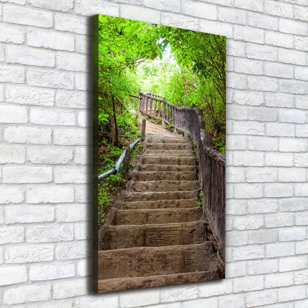 Canvas wall art Stairs in the forest