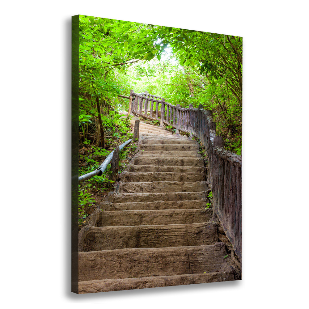 Canvas wall art Stairs in the forest