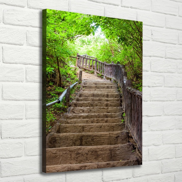 Canvas wall art Stairs in the forest