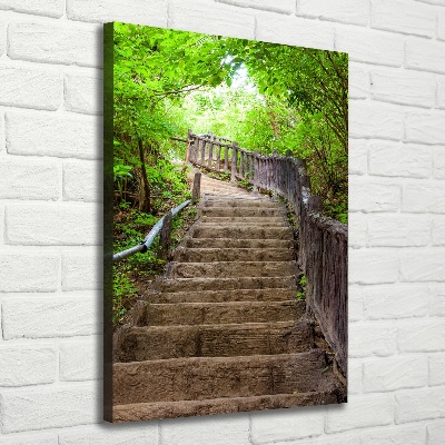 Canvas wall art Stairs in the forest