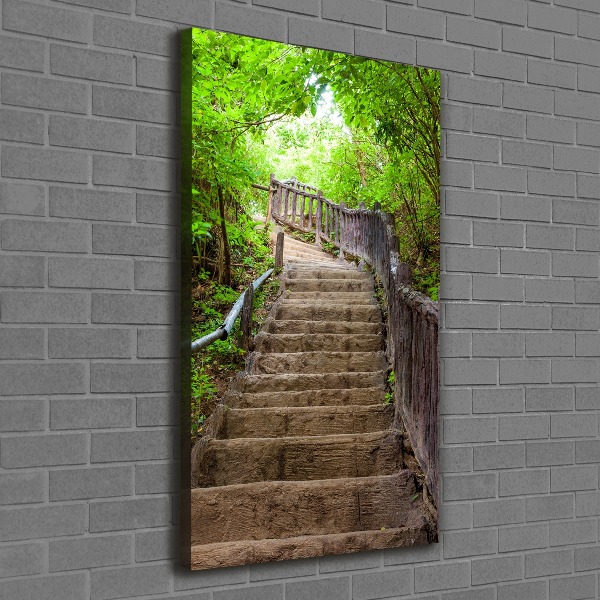 Canvas wall art Stairs in the forest