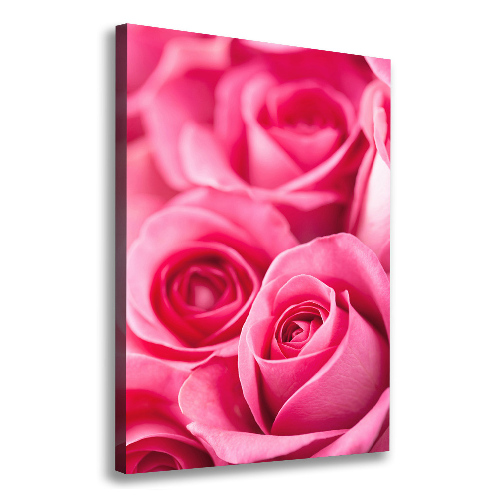 Picture canvas print Pink roses