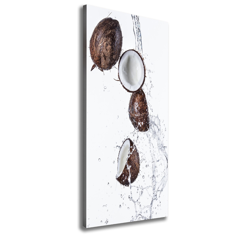 Wall art canvas large Coconut