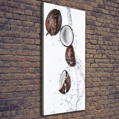 Wall art canvas large Coconut