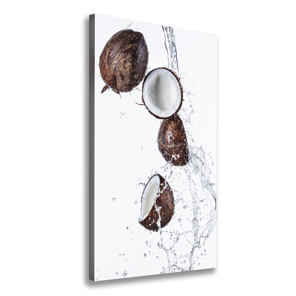 Wall art canvas large Coconut