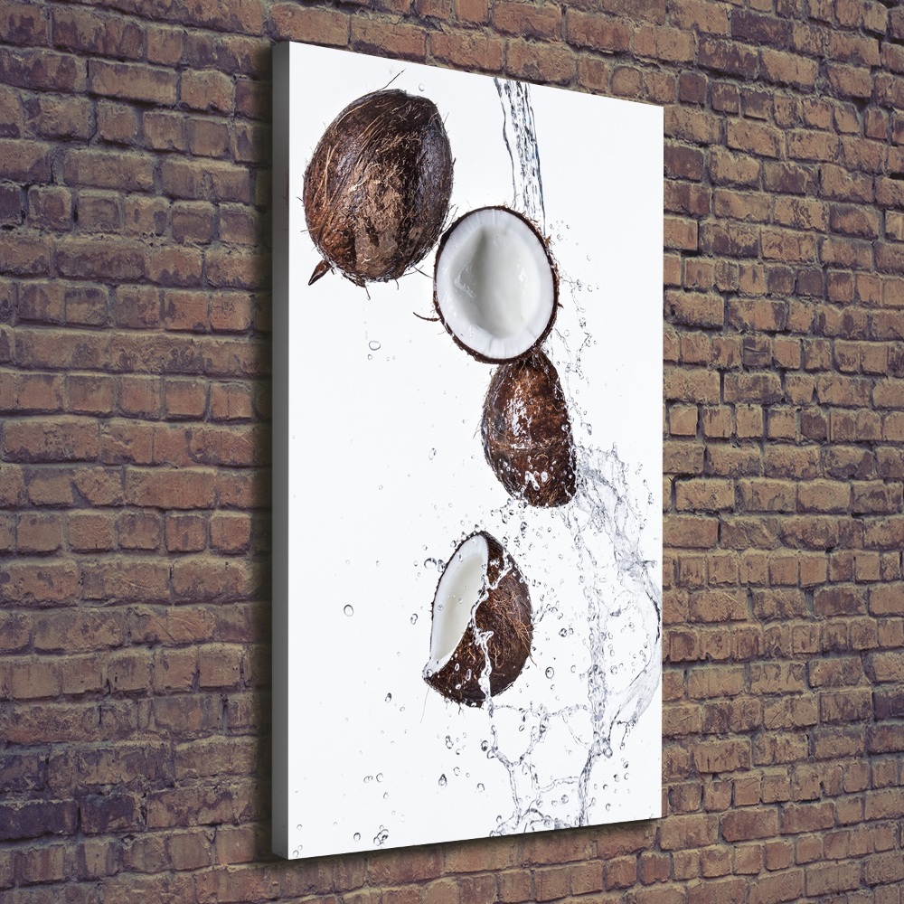 Wall art canvas large Coconut