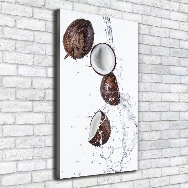 Wall art canvas large Coconut