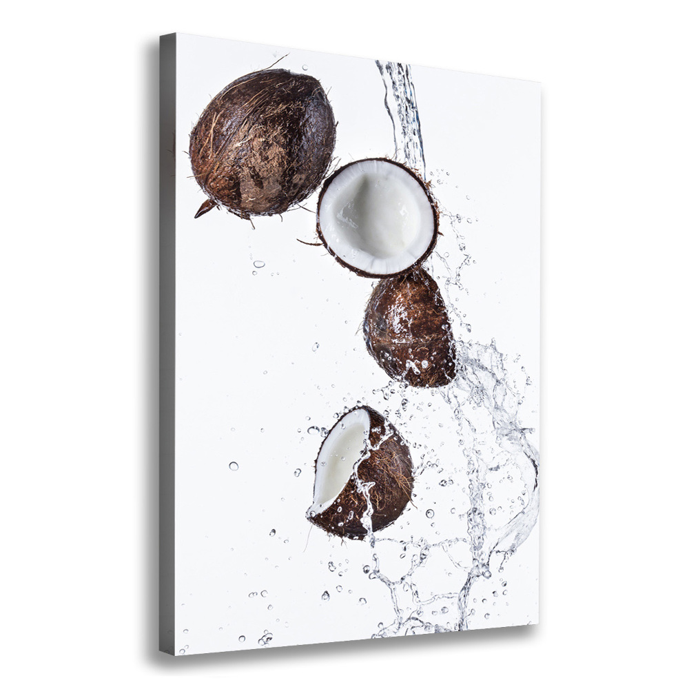 Wall art canvas large Coconut