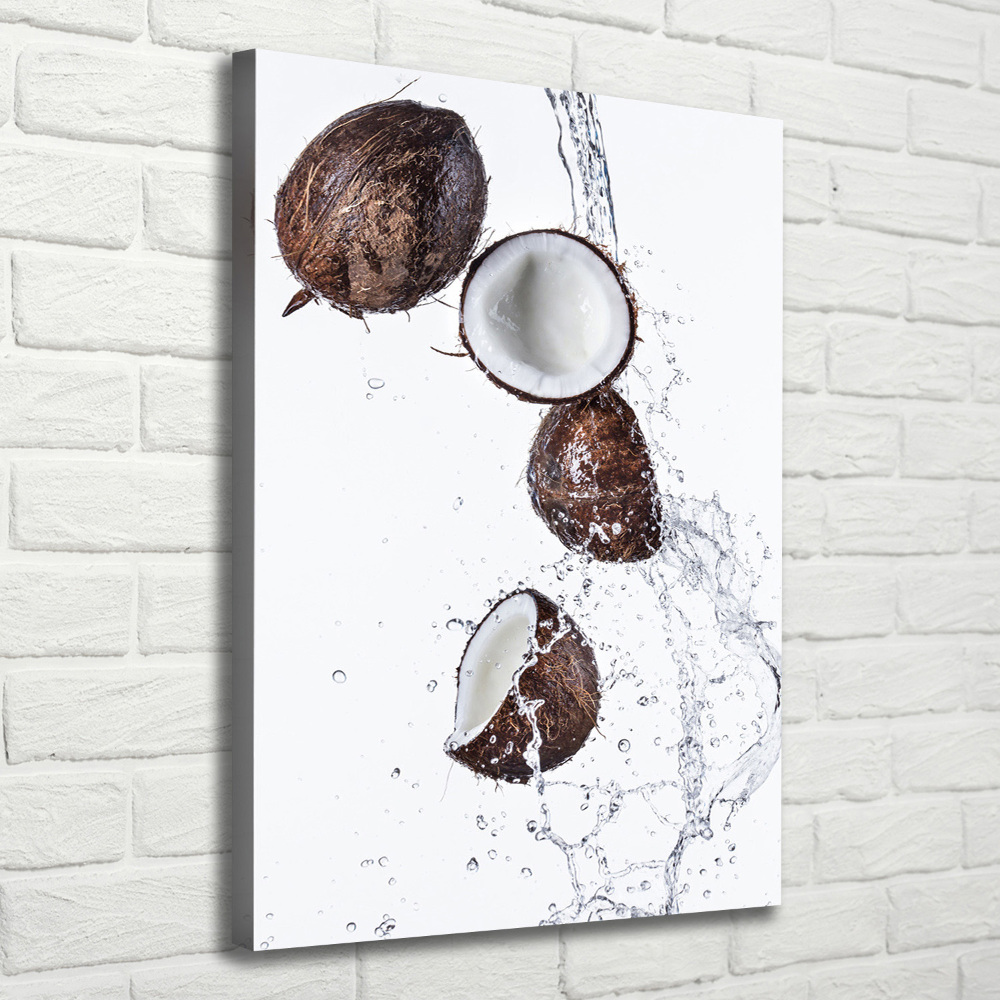 Wall art canvas large Coconut