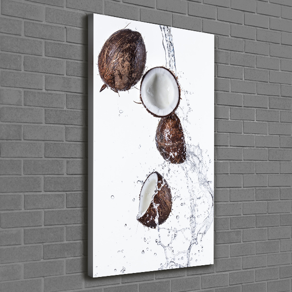 Wall art canvas large Coconut