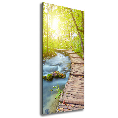 Large canvas wall art Path in the forest