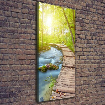 Large canvas wall art Path in the forest